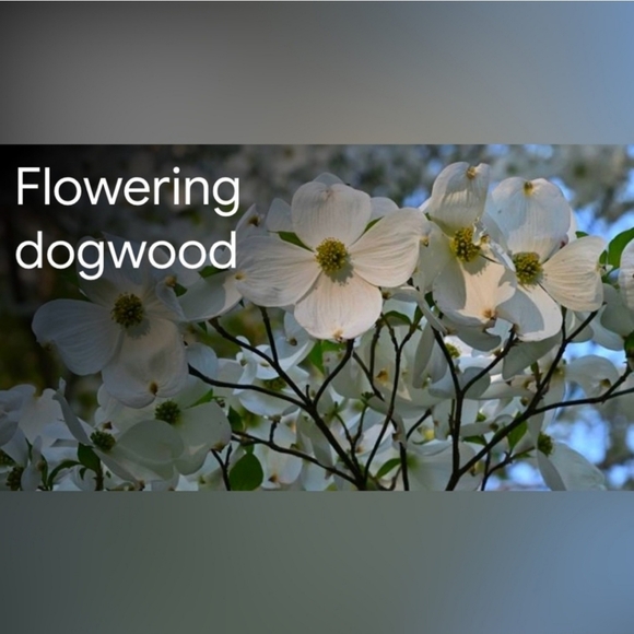 I'm featured today - Picture 2 of 15